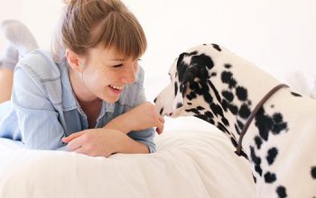 Tips on Picking The Best House and Pet Sitters