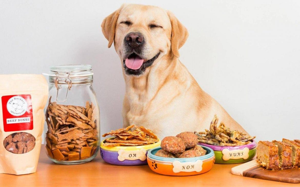 Learn How to Make Healthy Dog Treats