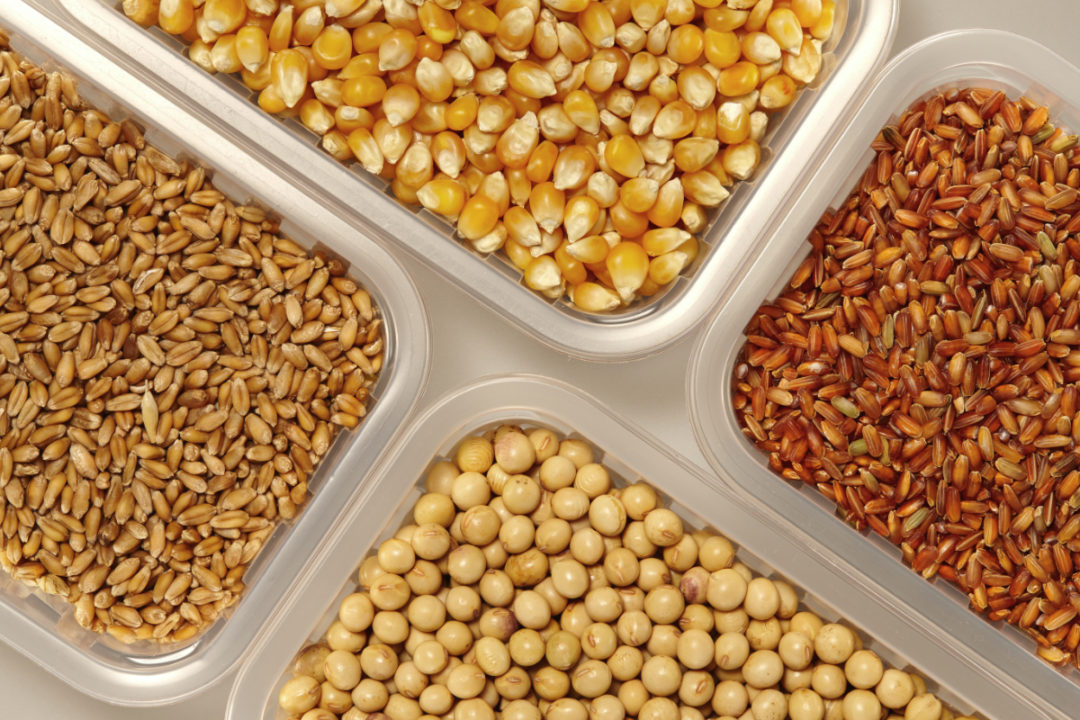 Reliable Resource for Grain Sellers in Australia