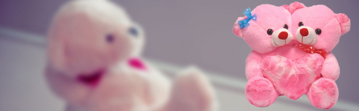 Tips on how to choose Toys and Gifts
