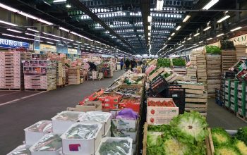 How to get the best wholesale food supplier