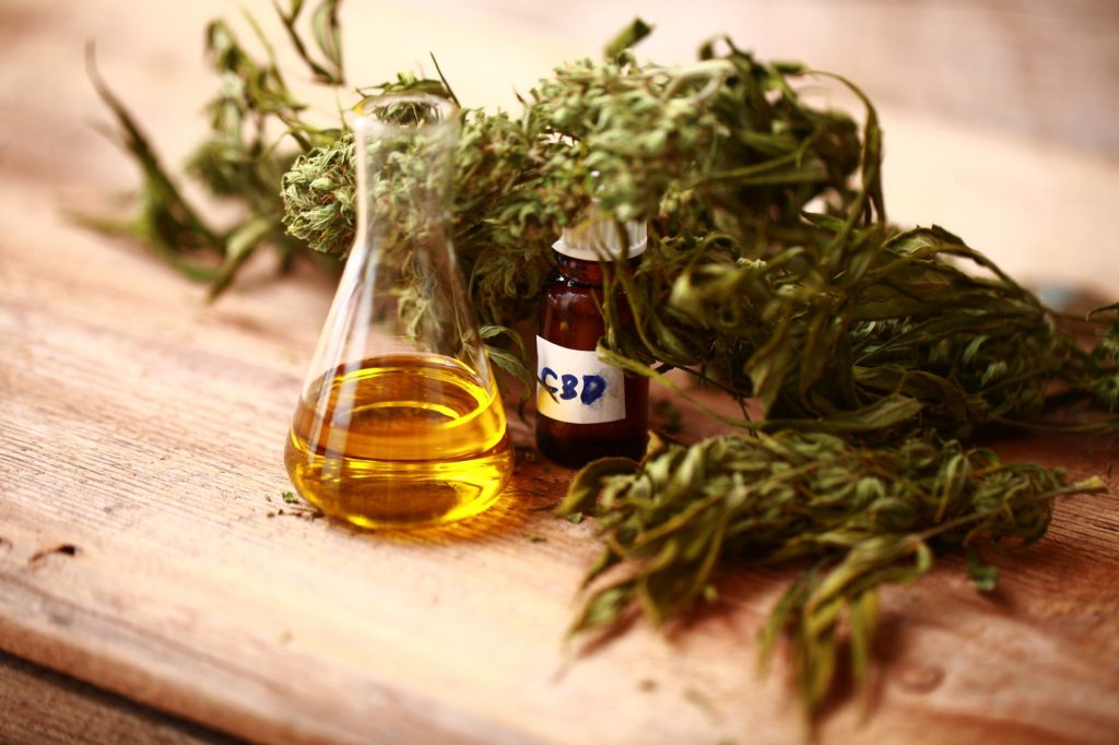 best cbd oil for dogs for sale