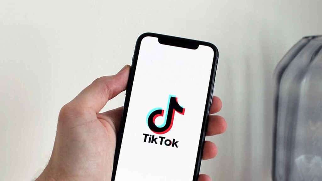 Fast & Secure TikTok Downloader